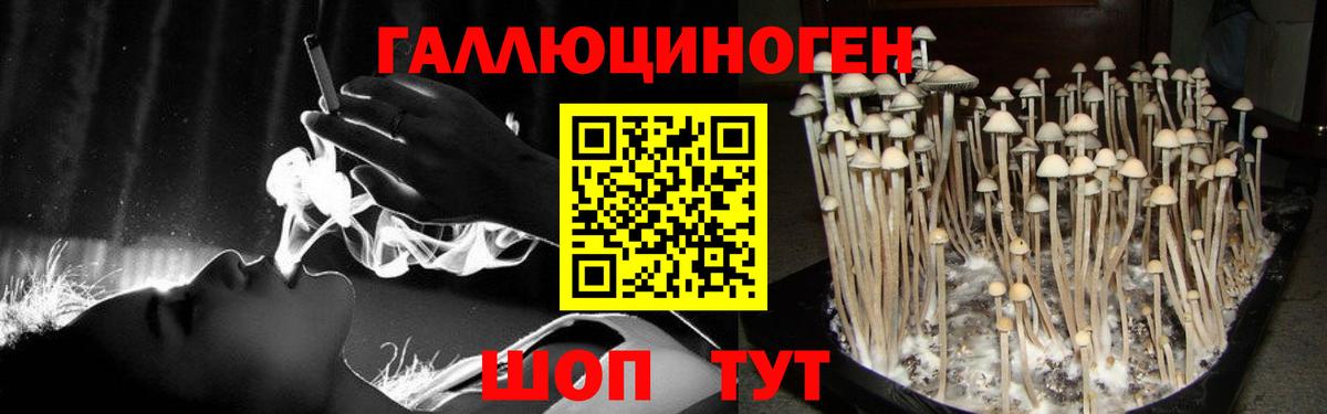 Можайск  Галлюциногенные грибы Cubensis  Вход с VPN 